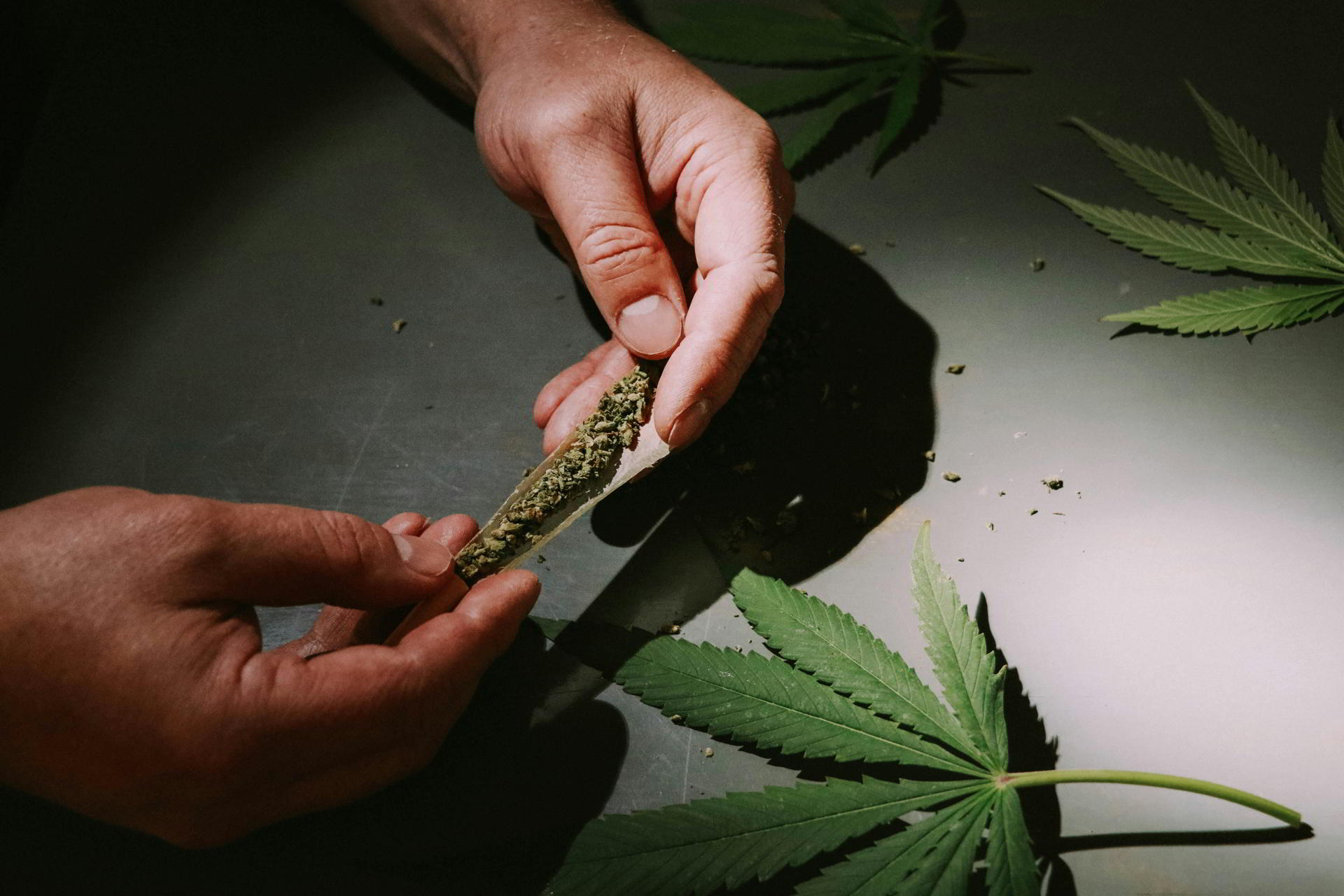 Terpene maximieren – Mehr Aroma & Geschmack beim Anbau